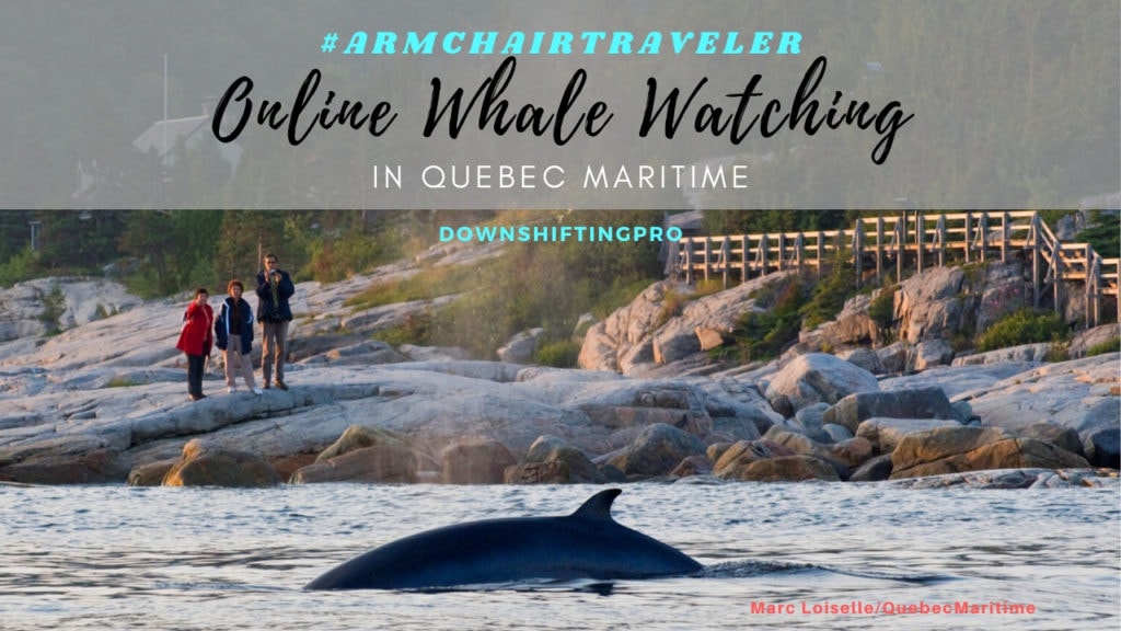 Strategies to Manage Your Travel Blog when NOT traveling 25 Online Whale Watching in Quebec Maritime Photo credit Marc Loiselle QM @Downshifting PRO Final