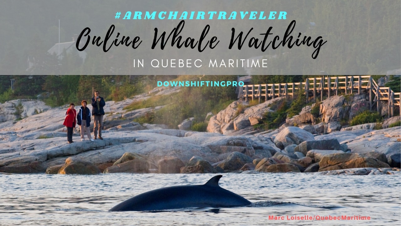 Online Whale Watching in Quebec Maritime Photo credit Marc Loiselle QM @Downshifting PRO Final