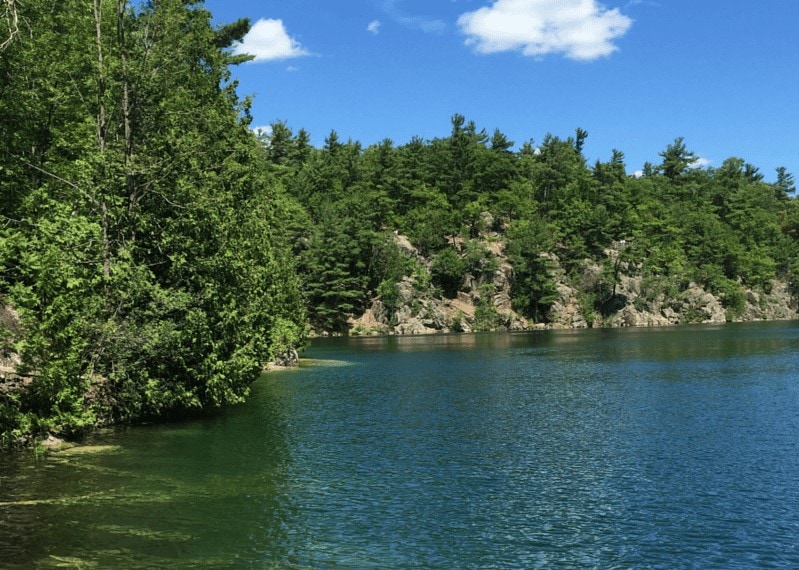 GT gatineau ThriftyMommasTips