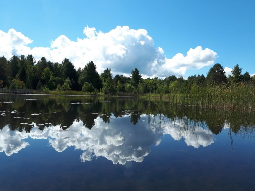 The Wild Centre Unique things to do in The Adirondacks the fall @DownshiftingPRO 1