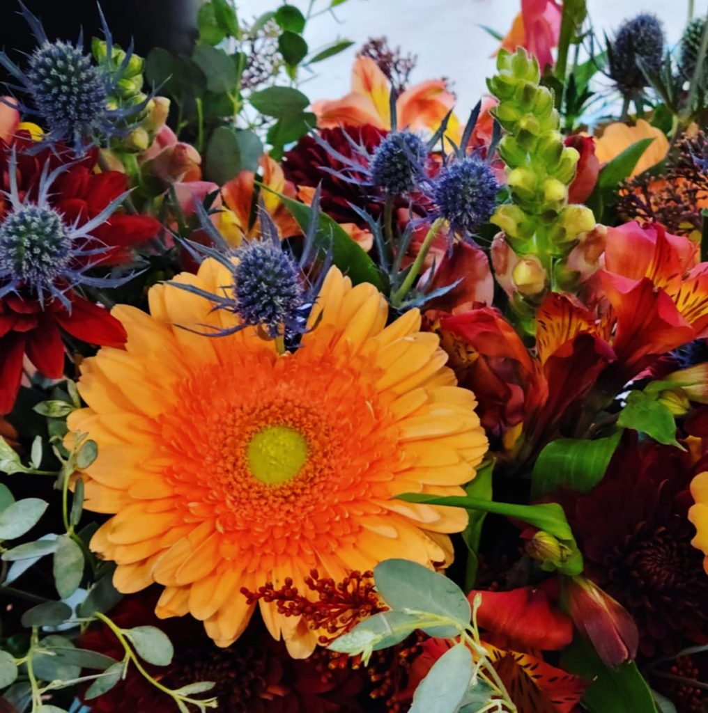Windflowers Florist in Paris Wincey Mills Co in Downtown Paris Ontario