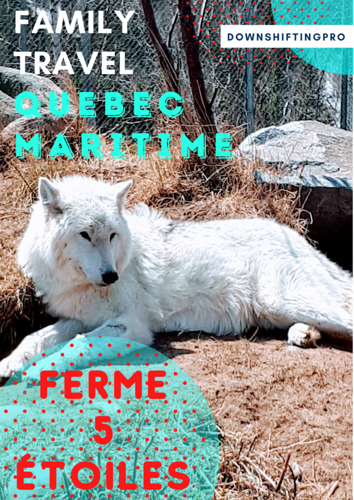Family Travel in Québec Maritime - Ferme 5 Étoiles Family Farm is a must-see - 2023 UPDATE 15 Whale Watching in Quebec Maritime 2