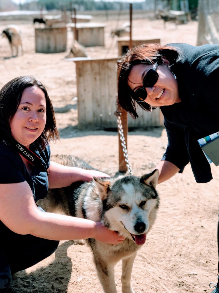 Family Travel in Québec Maritime - Ferme 5 Étoiles Family Farm is a must-see - 2023 UPDATE 13 Family Travel in Quebec Maritime - dog sled kennel at Ferme 5 Étoiles = @DownshiftingPRO