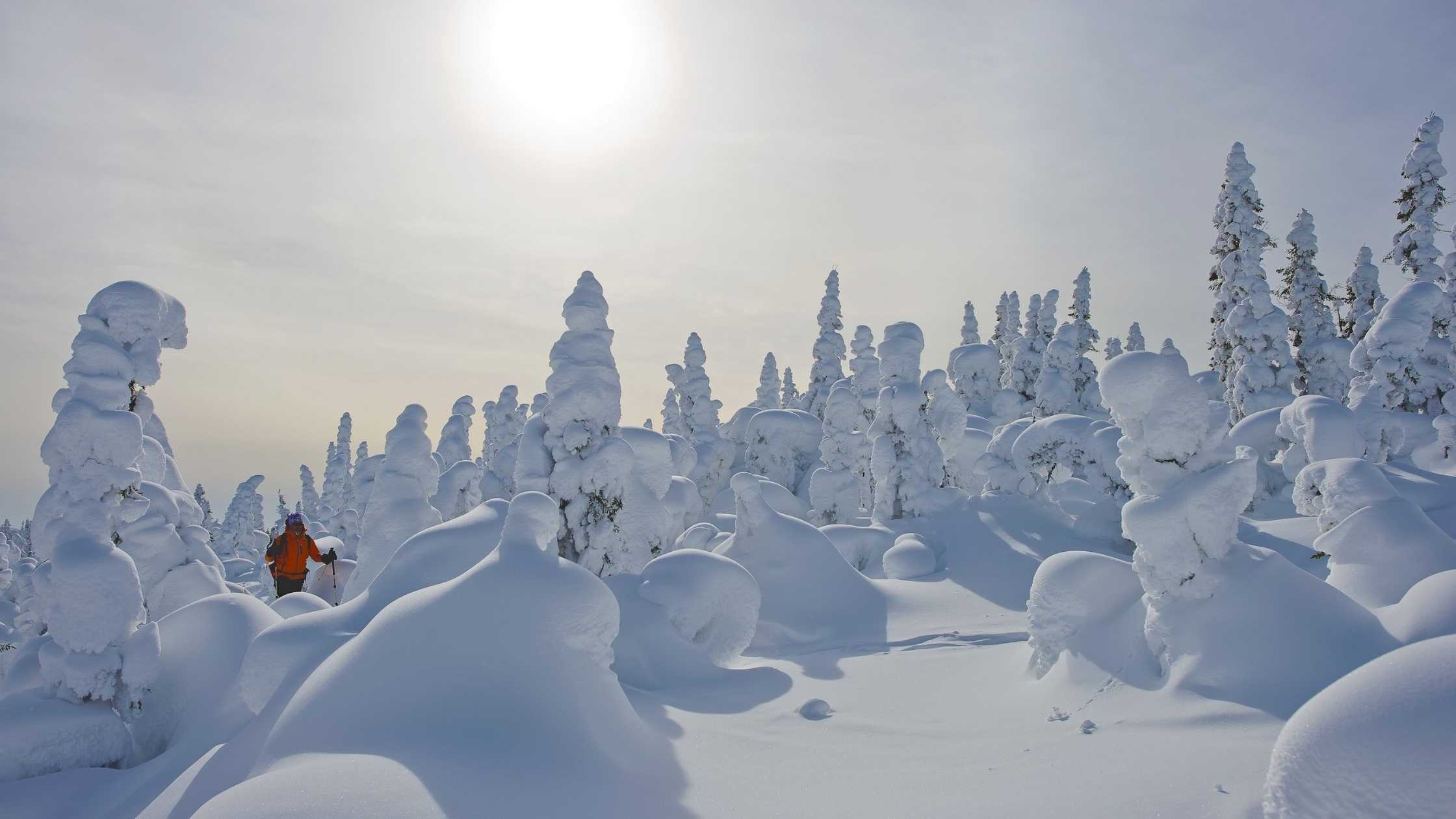 Photo Credit @QuebecMaritime - Steve Deschênes Mt. Hog's Back, Chic-Chocs Wildlife Reserve