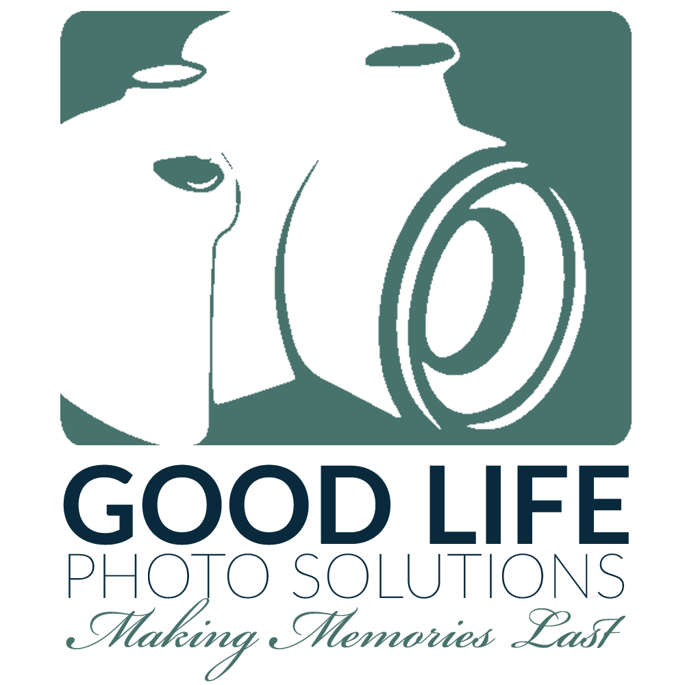 15+ Great Professional Organizers to Follow and Read 19 Logo Square W TAG LINE 1 color Andi Willis