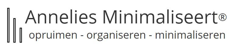 15+ Great Professional Organizers to Follow and Read 20 logo website Annelies Mentink