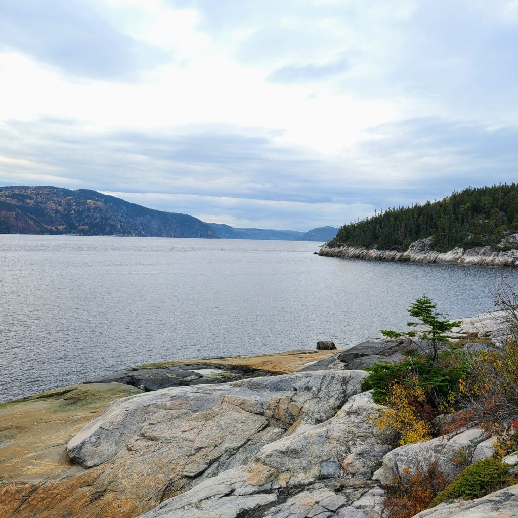 Where to go Whale Watching in Quebec