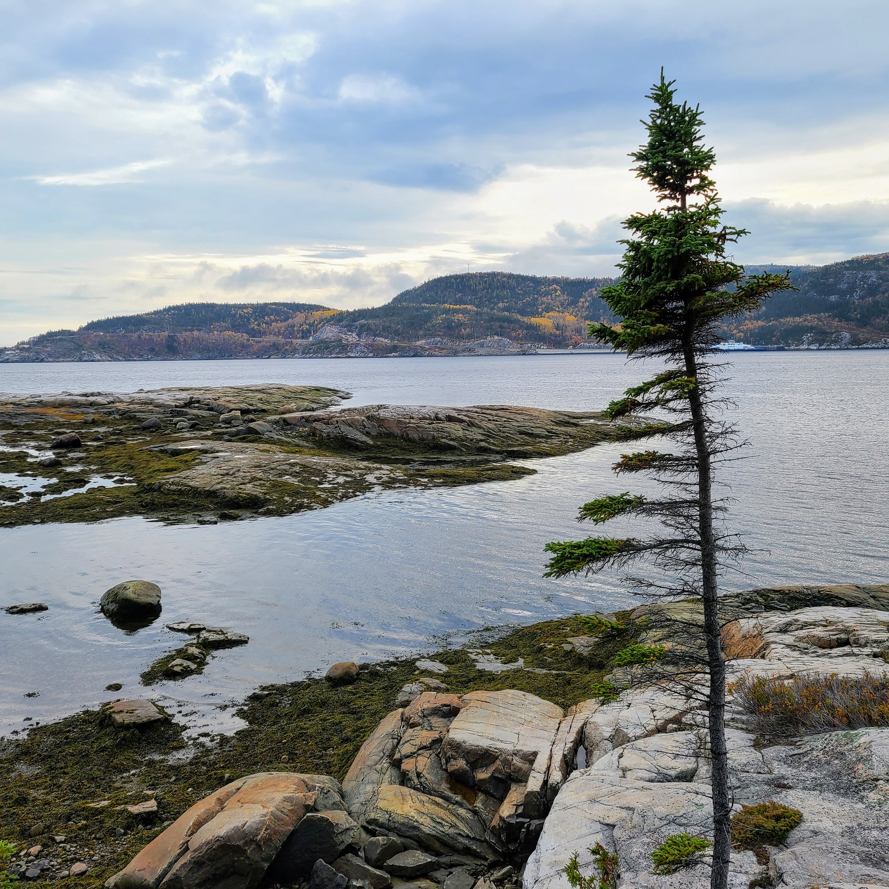 Explore Canada for Less: Free Admission, Camping Discounts, and VIA Rail Savings with the Canada Strong Pass 2025 9 Islet Point in Tadoussac looking towards Pointe Noire Interpretation and Observation Centre