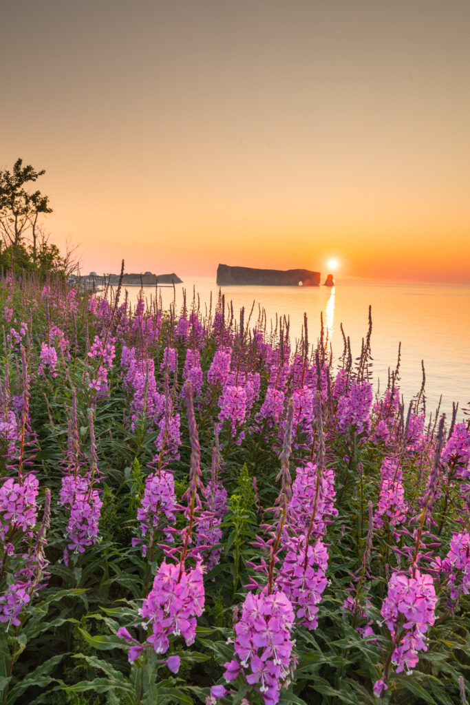 Sunrise over Perce Rock Photo Credit @MathieuDupuis Gasp