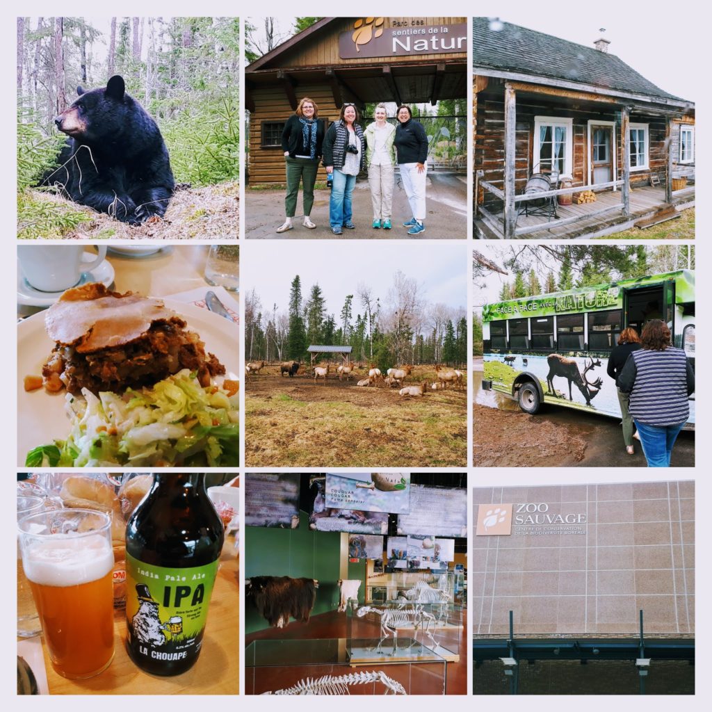 10 Best things to do in the Saguenay Fjord Region of Quebec - @SaguenayLac 10 Zoo Sauvage de Saint Felicien Girls Getaway to Quebec DownshiftingPRO