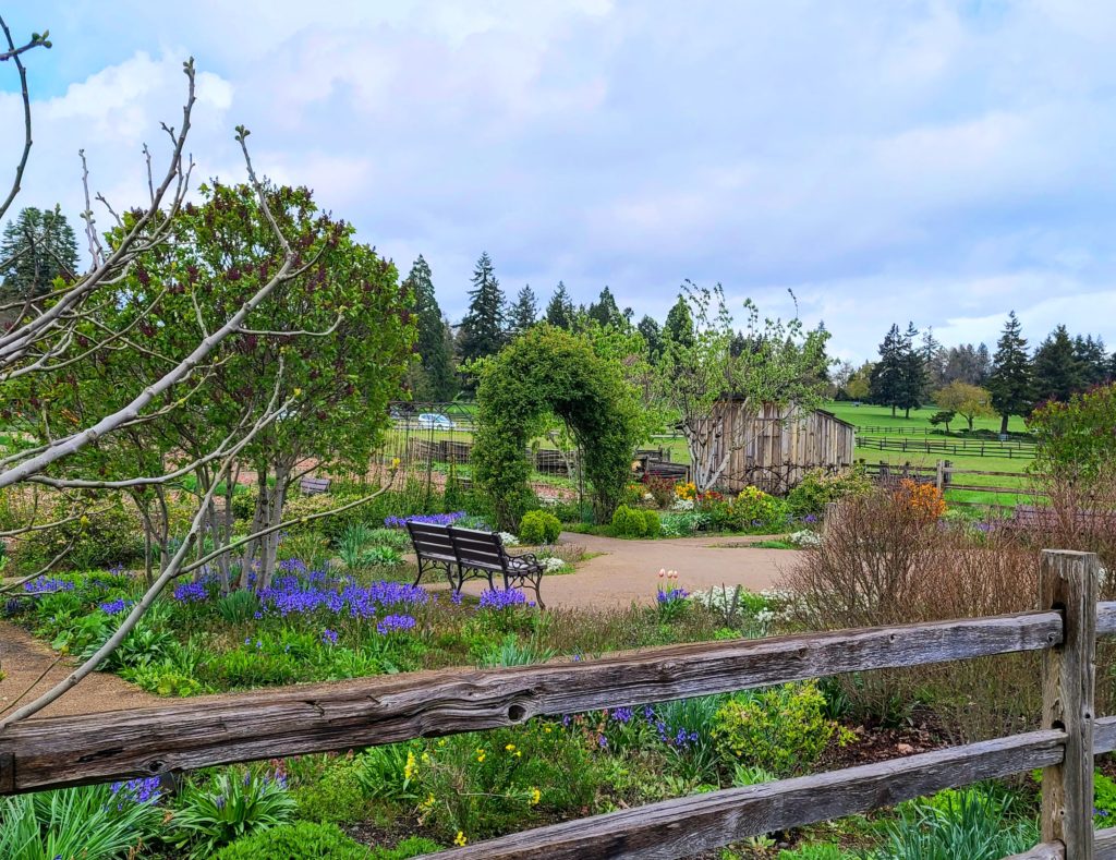 Free things to do in Vancouver Washington  - visit the Heritage Garden right in front of Fort Vancovuer.  