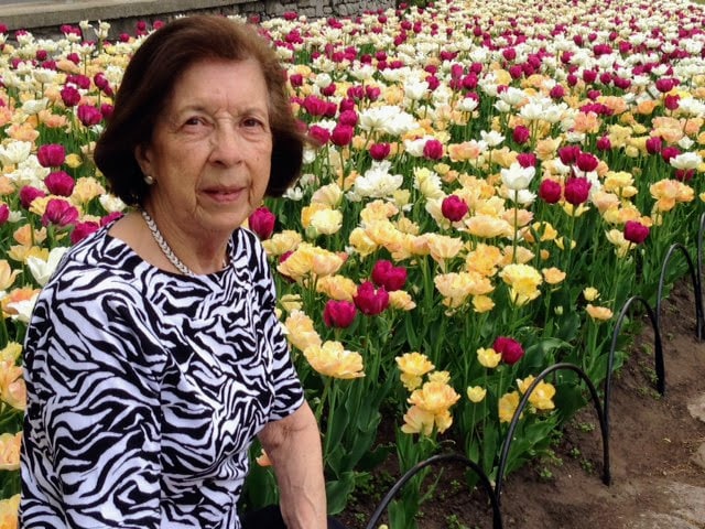 Canadian Tulip Festival in Ottawa - with over 30 locations 120 garden beds, 100 varieties of tulips