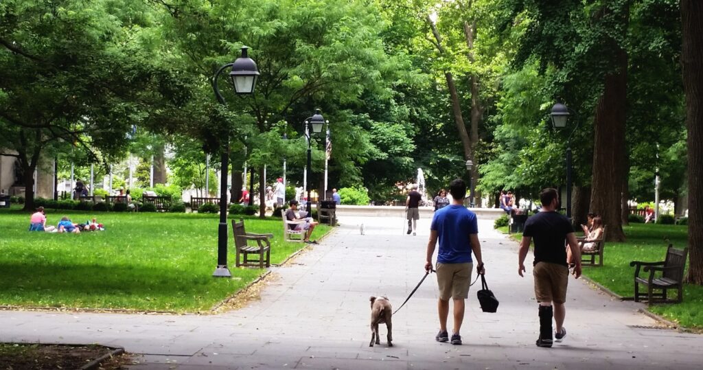 Pet-friendly Hotels in Each State of the United States 3 A couple walking their dog in a park in Philadelphia - Pet Friendly hotels in the US