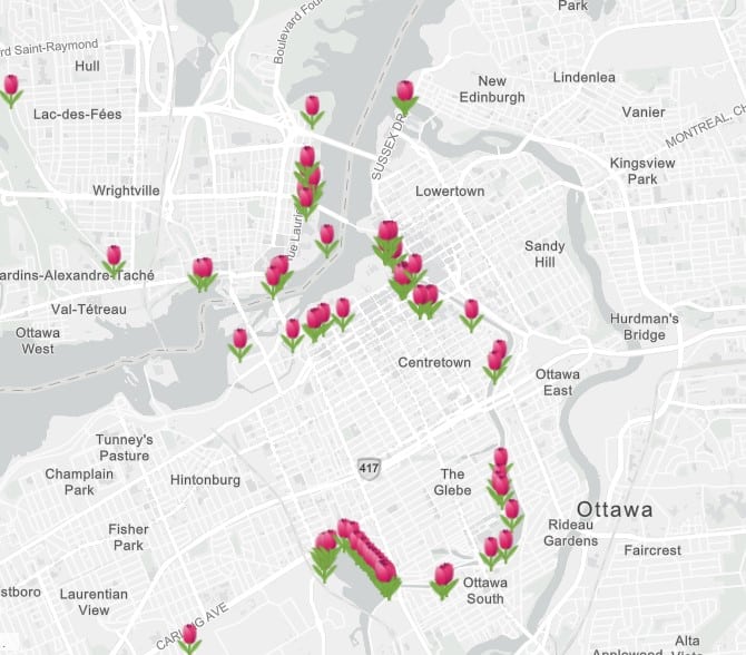 map of the Canadian Tulip Fesitval in Ottawa