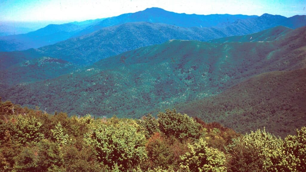 25 of the Best Places To Visit in North Carolina 2 Best places to visit in North Carolina - Great-Smokey-Mountain-National-Park-Photo-Credit-CanvaPro