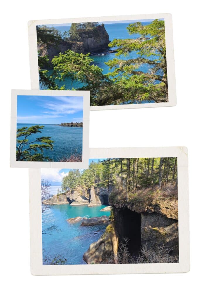 Indigenous Tourism in the Olympic Peninsula 9 1000017940