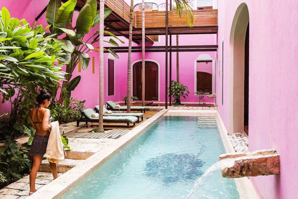 Rosas and Xocolate Expedia Group via xoxoBella