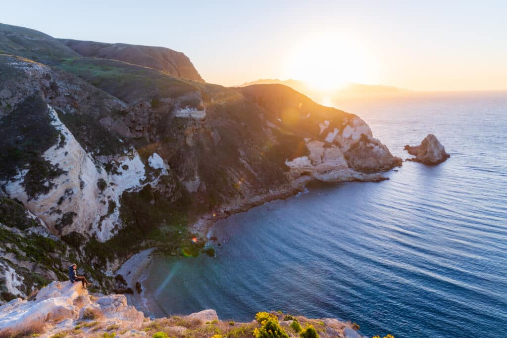 Channel Islands Alec SillsTrausch