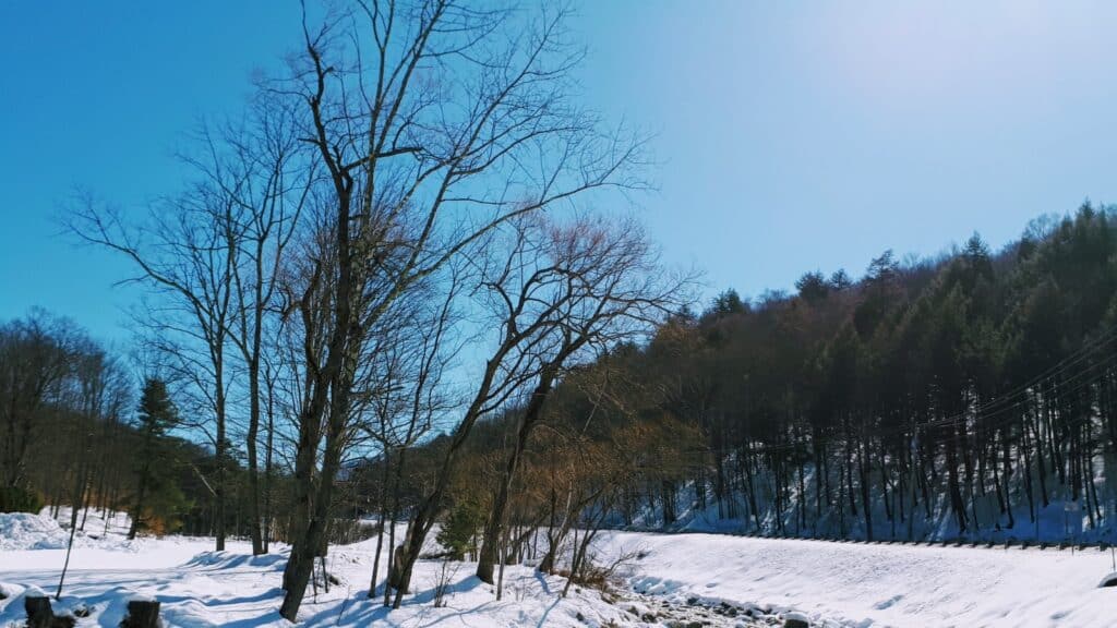The Absolutely Best Things To Do in New Hampshire 2 New England Photo Credit DownshiftingPRO