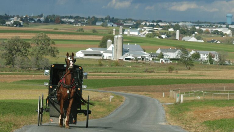 Amish Horse Buggy Photo Credit DiscoverLancaster 1