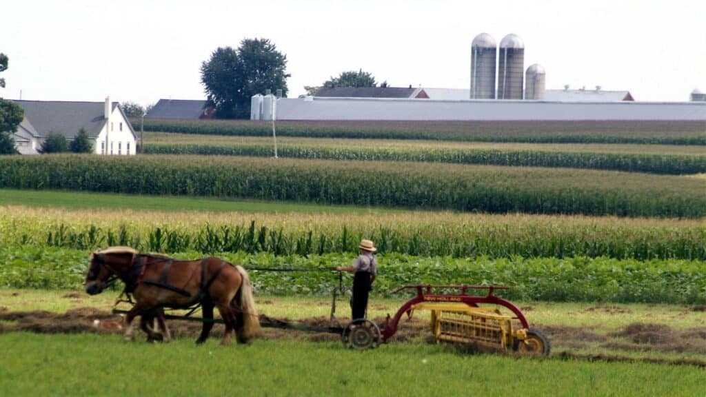 Discover Lancaster County: What to do in Pennsylvania, Amish-Style 3 What to do in Pennsylvania? Visit a farm and spend the day with the Amish in Lancaster County