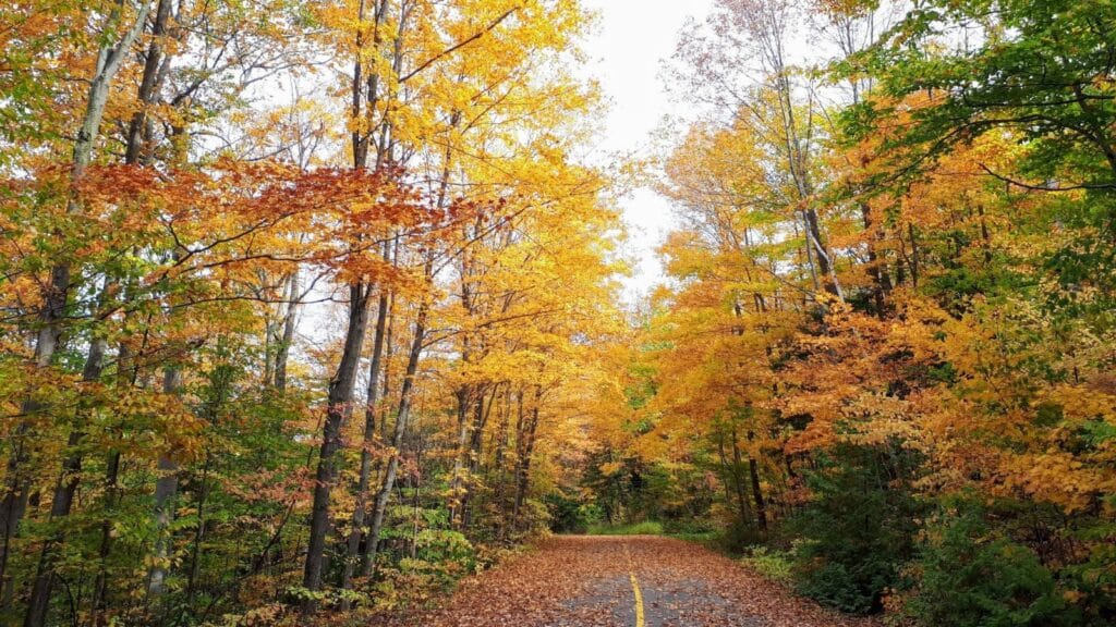 Fall Foiliage Ontario Photo Credit DownshiftingPRO