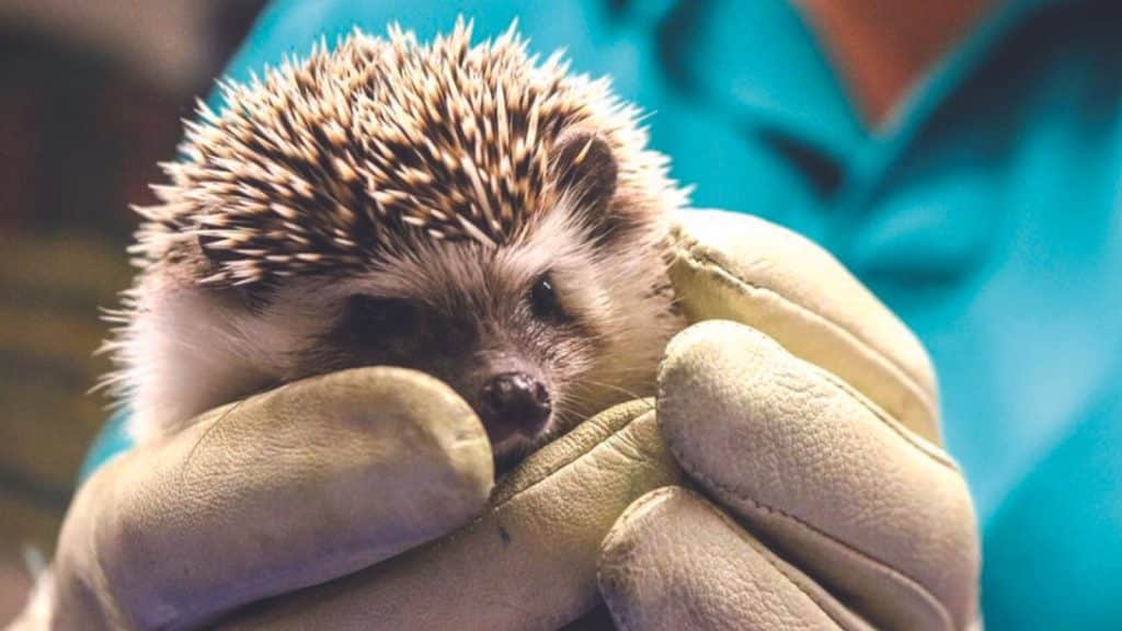 The Academy of Natural Sciences of Drexel University is Part of the Philadelphia CityPASS