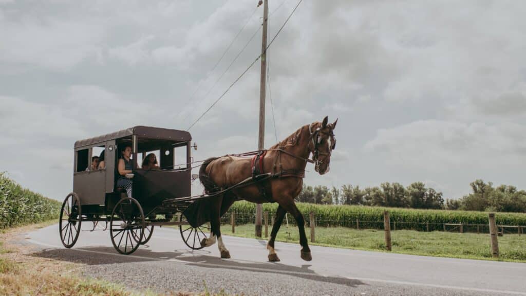 Discover Lancaster County: What to do in Pennsylvania, Amish-Style 7 What to do in Pennsylvania? Take a horse and buggy ride in Lancaster County Pennsylvania.