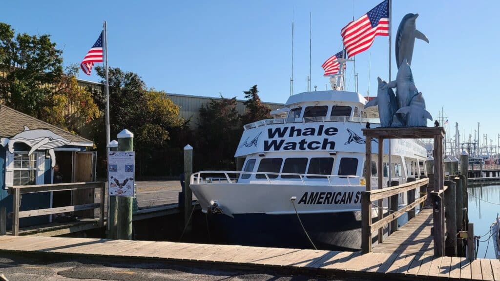 Whale Watch Cape May Photo Credit DownshiftingPRO 1