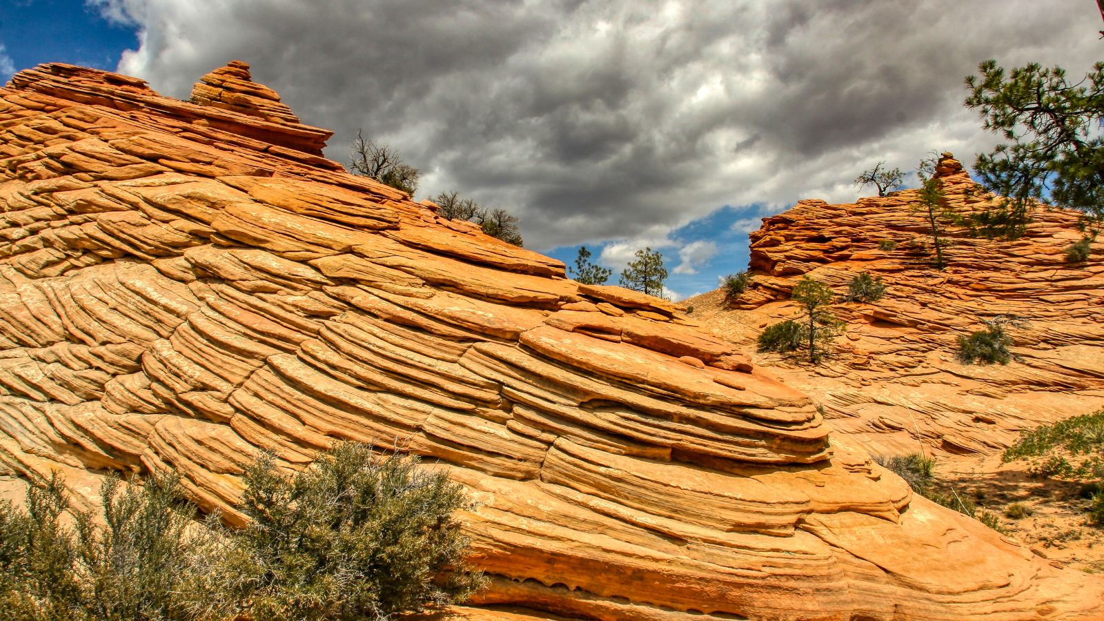 Zion National Park Utah Photo Credit Mick Haupt CanvaPro