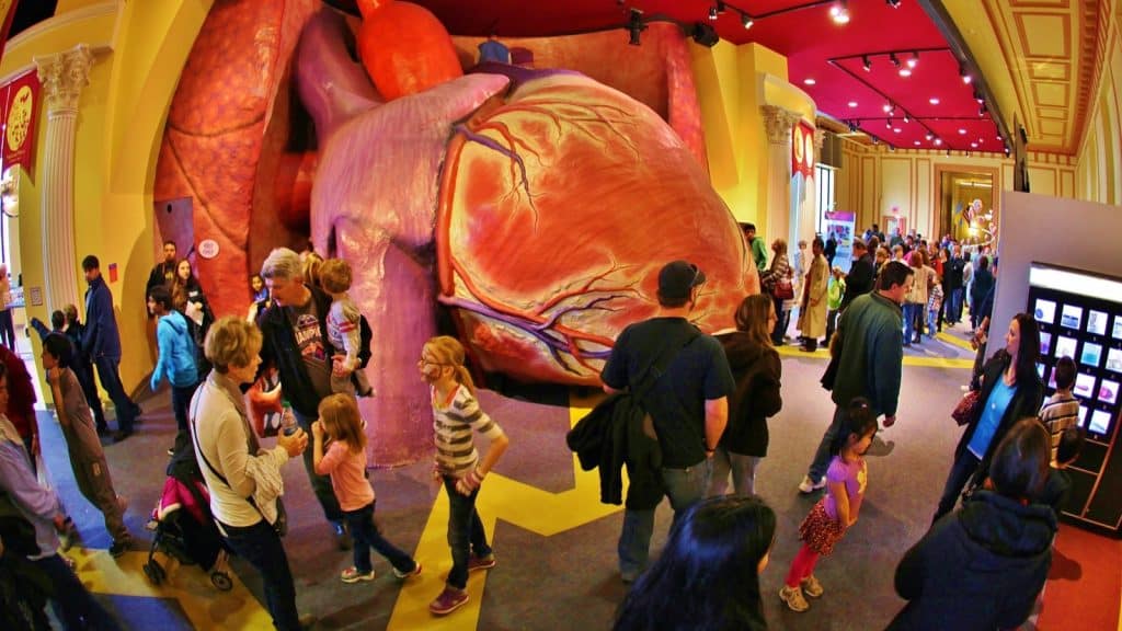 The Giant Heart Photo Credit: The Franklin Institue Part of the Philadelphia CityPASS