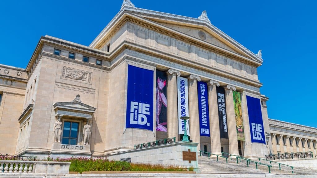 Field Museum in Chicago Photo Credit bloodua via Depositphotos 1