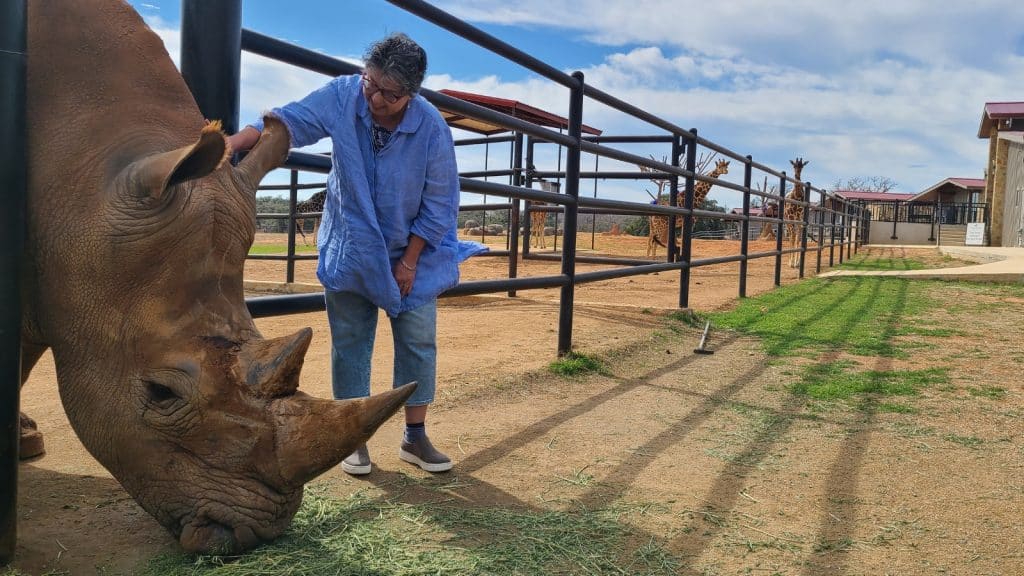 Where to Eat, Drink, and Be Merry: Your Guide to Great Food In Blacksburg and Christiansburg, Virginia 20 Petting a rhino at Longneck Lodge Fredericksburg Texas Photo Credit DownshiftingPRO 1