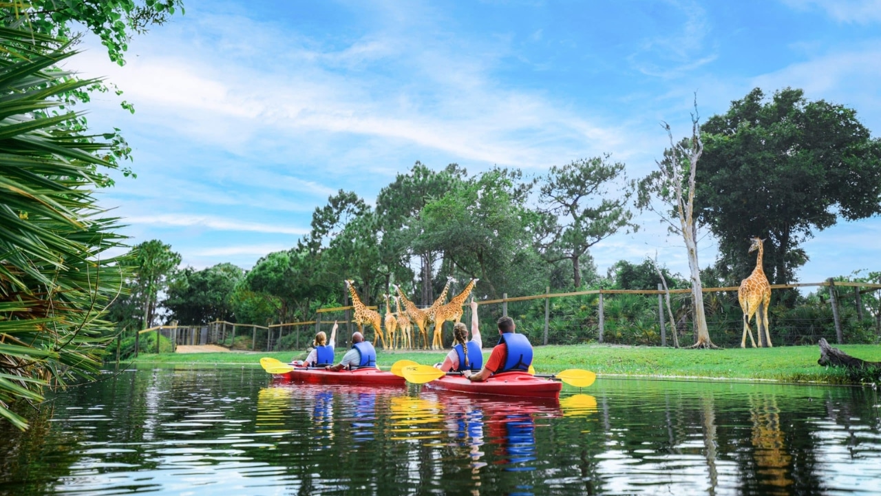 Brevard Zoo Group Kayaking Photo Credit Floridas Space Coast Office of Tourism