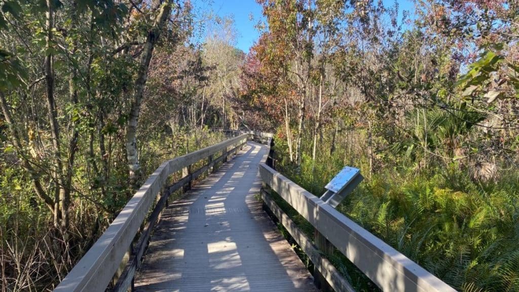 15 Thrilling Activities on Florida's Space Coast 3 Florida's Space Coast - Erna Nixon Park