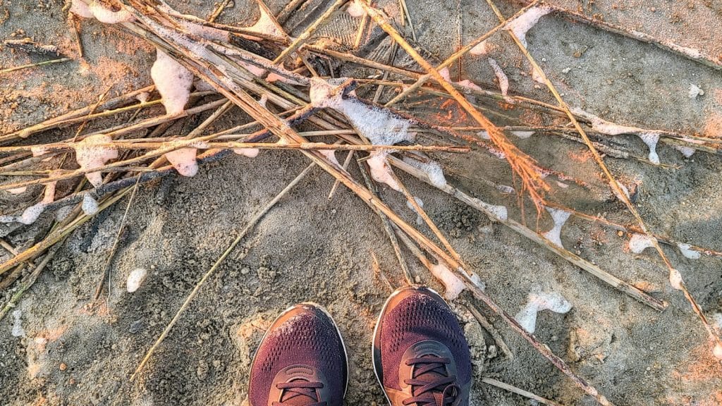 12 Unforgettable Nature Activities to Experience in Cape May, NJ! 4 Sunset Beach Cape May Photo Credit DownshiftingPRO