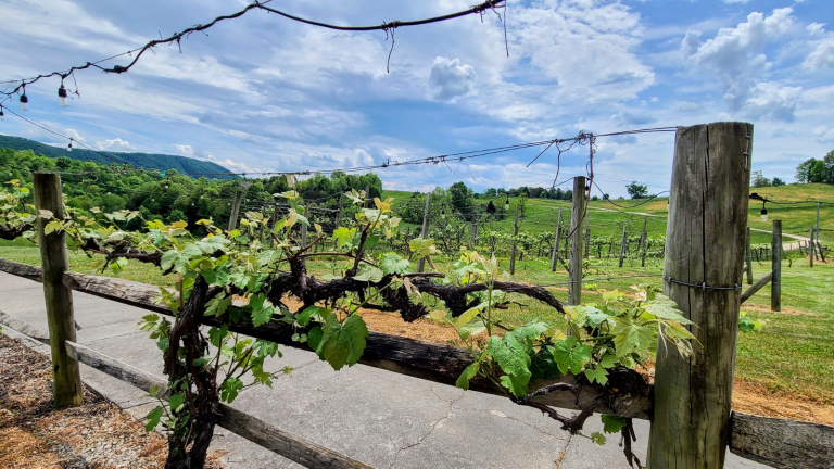 Beliveau Farm Winery Blacksburg VA Credit DownshiftingPRO 20240509 195340 0017