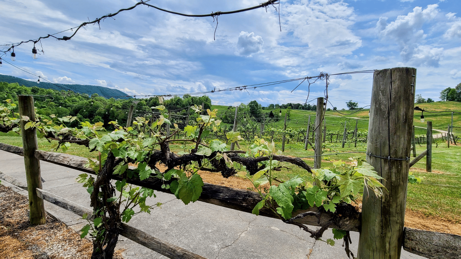 Beliveau Farm Winery Blacksburg VA Credit DownshiftingPRO 20240509 195340 0017