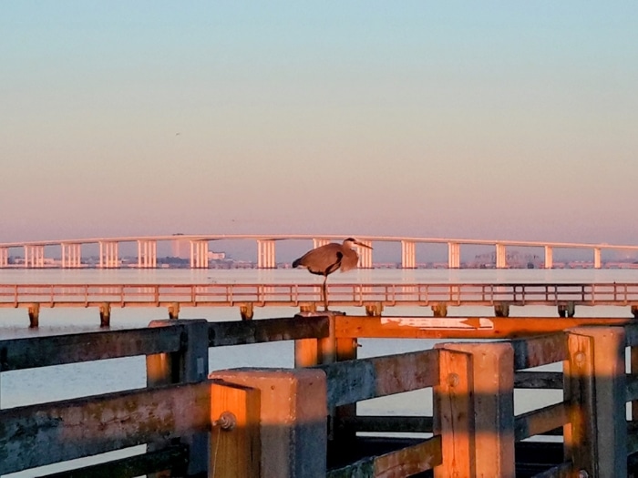 Biloxi Bay Bridge from Ocean Springs MS Photo Credit Margarita Ibbott via DownshiftingPRO