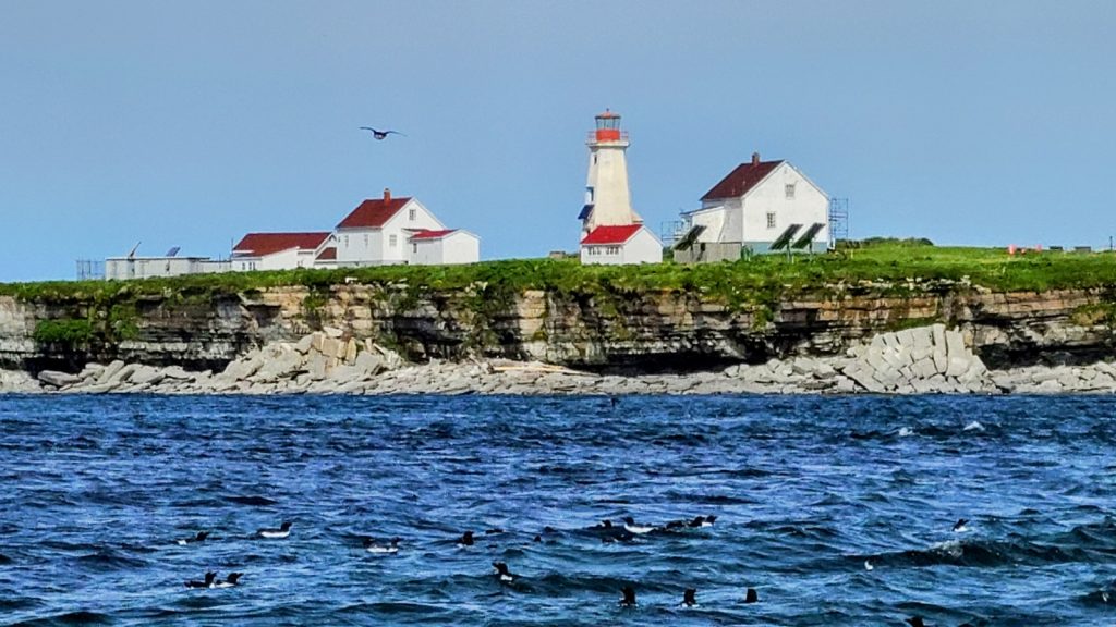 Chasing Waterfalls & Monoliths: 4 Days Along Québec's Côte-Nord 2 Ile aux Perroquets Lighthouse Photo Credit DownshiftingPRO 2