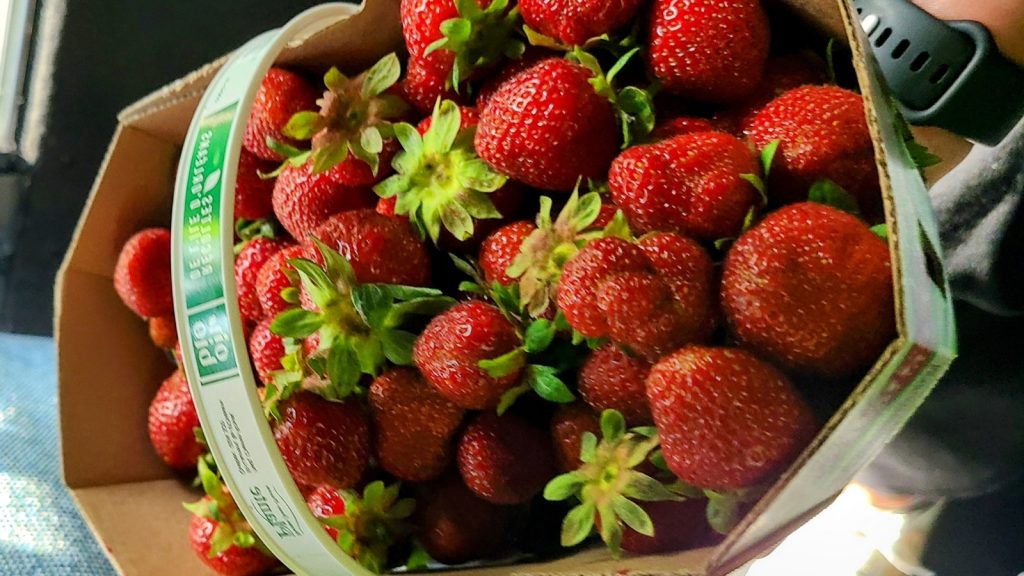 Discovering Québec City and Île d’Orléans: Start with a Food Tour 8 5 20250723 233047 0004