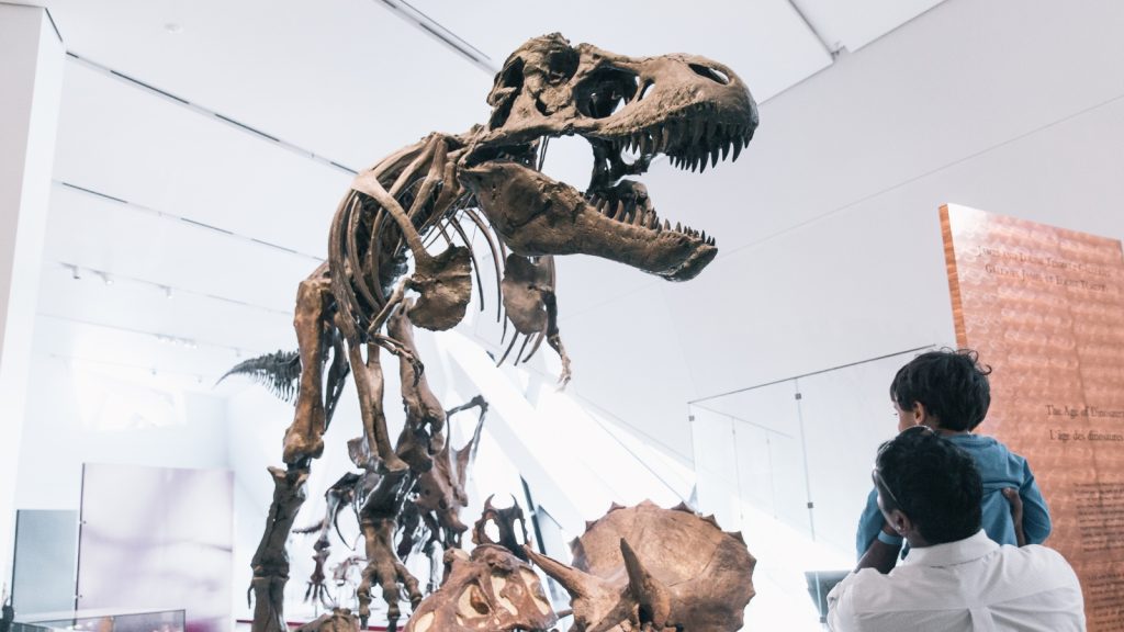 Toronto CityPASS: 5 Outstanding Attractions You Can’t Miss 10 Royal Ontario Museum ROM CityPASS® – Royal Ontario Museum — T. rex fossil exhibit in the James and Louise Temerty Galleries of the Age of Dinosaurs