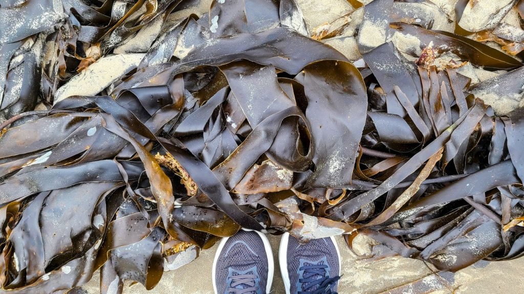 Rossnowlagh Beach Photo Credit Margarita Ibbott