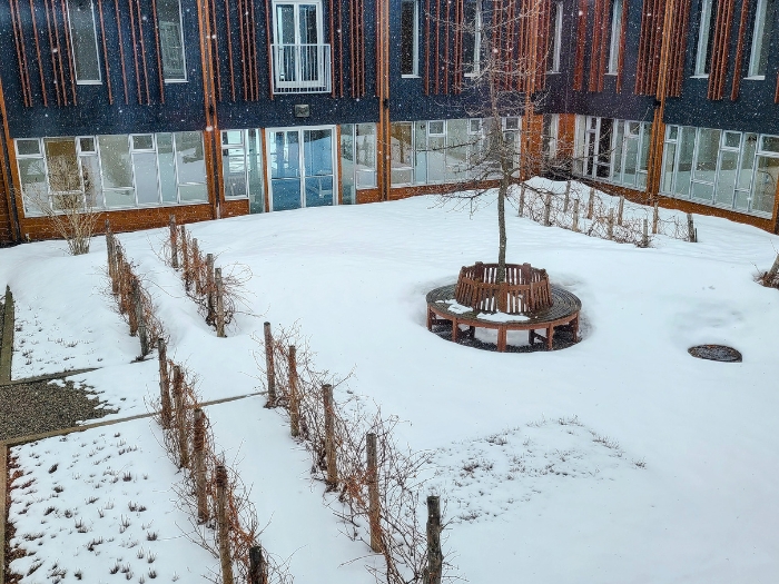 Le Germain Charlevoix: Quiet Luxury Where Highland Cows Meet Nordic Spas in Baie-Saint-Paul, Quebec 3 Courtyard at Le Germain Charlevoix Photo Credit Margarita Ibbott 2