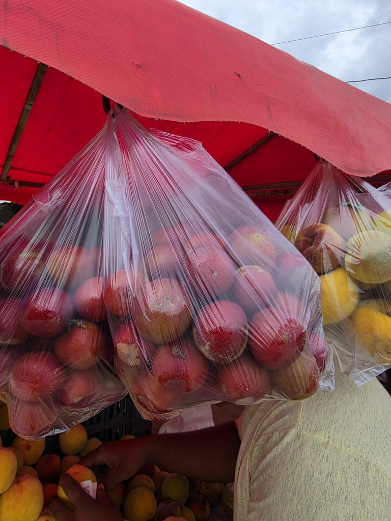 Ultimate Guide to Fruits and Juices of Colombia - with 40+ Stunning Pictures 13 Cirelas Photo Credit Margarita Ibbott
