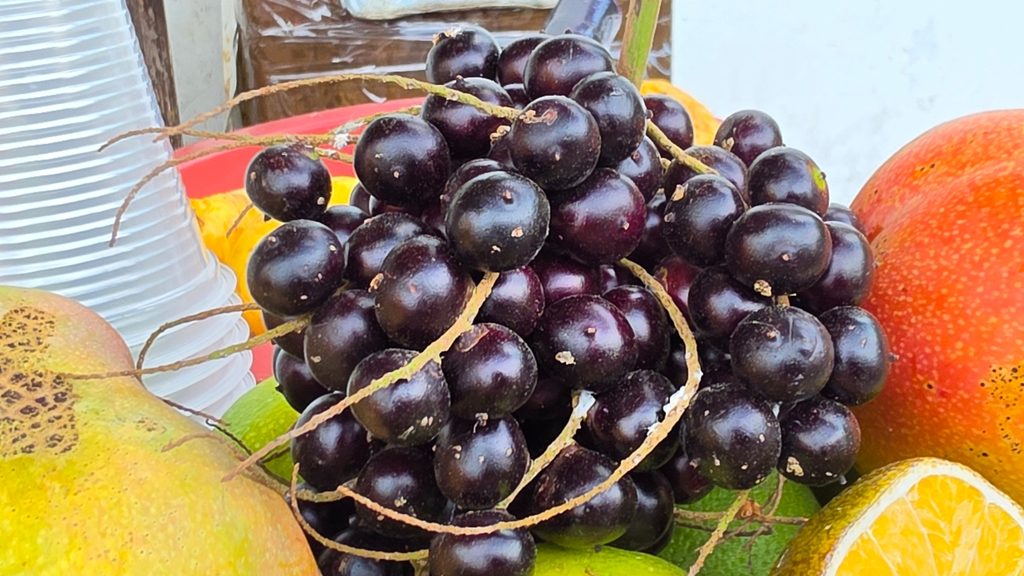 Ultimate Guide to Fruits and Juices of Colombia - with 40+ Stunning Pictures 18 Corozo Photo Credit Margarita Ibbott