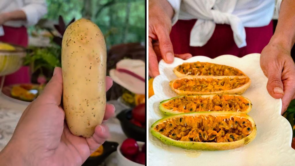 Ultimate Guide to Fruits and Juices of Colombia - with 40+ Stunning Pictures 16 Curuba Photo Credit Margarita Ibbott 1