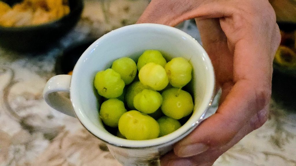 Ultimate Guide to Fruits and Juices of Colombia - with 40+ Stunning Pictures 26 Grosella Photo Credit Margarita Ibbott