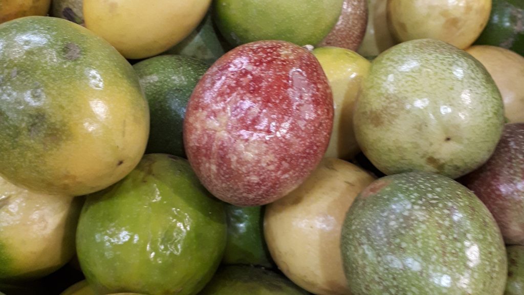 Ultimate Guide to Fruits and Juices of Colombia - with 40+ Stunning Pictures 28 Guayaba Dulce Photo Credit Margarita Ibbott