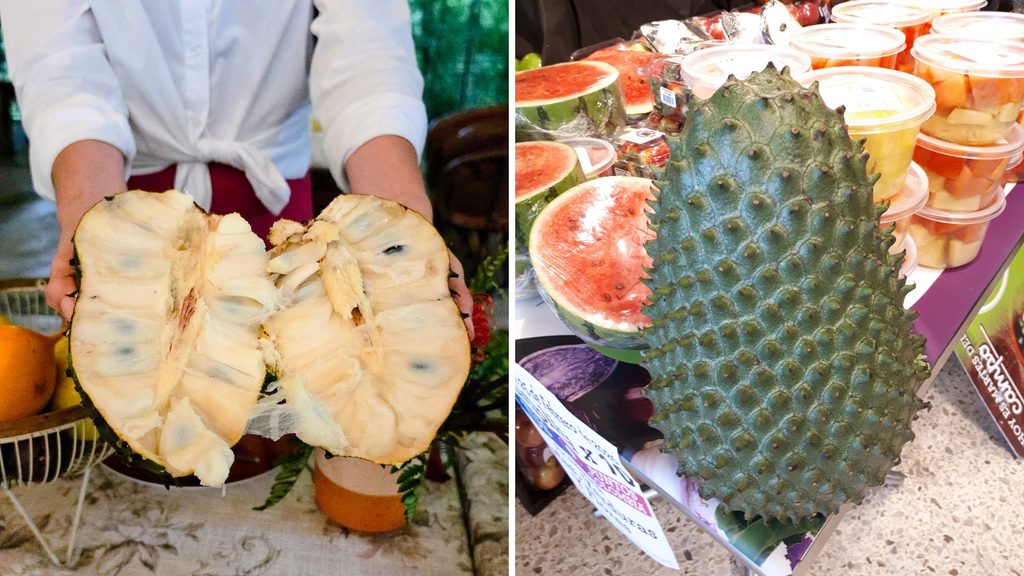 Ultimate Guide to Fruits and Juices of Colombia - with 40+ Stunning Pictures 20 Gunabana Photo Credit Margarita Ibbott 1